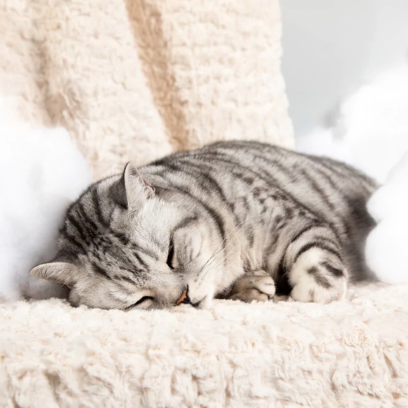 Cheshire and Wain London Cat Cloud® Throw & Bed Set in Shearling Cream - Picture 4 of 4